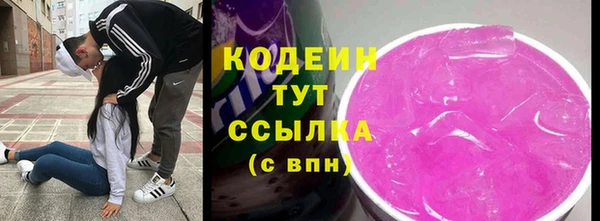 дживик Осинники