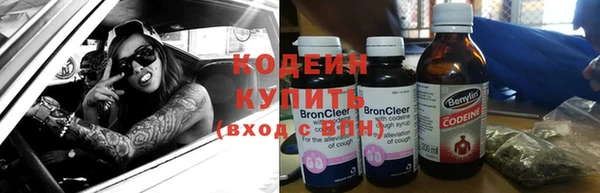 дживик Осинники