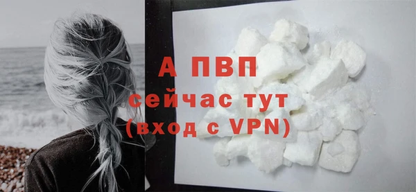 дживик Осинники