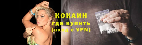 дживик Осинники