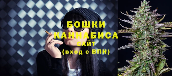 прущий лед Осташков