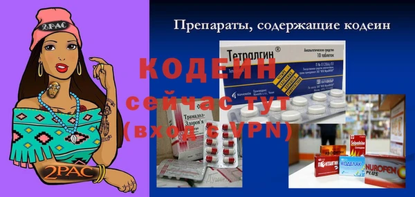 прущий лед Осташков