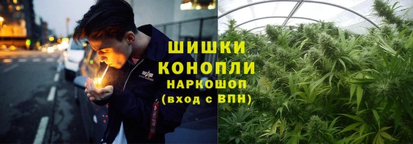 прущий лед Осташков