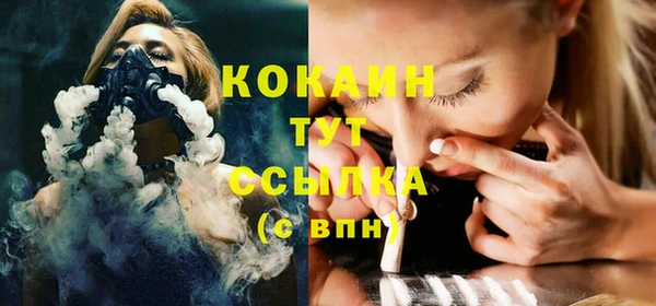 дживик Осинники