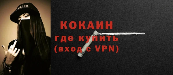 дживик Осинники
