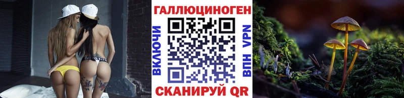 Псилоцибиновые грибы Cubensis KRAKEN как войти Калининск дарнет шоп